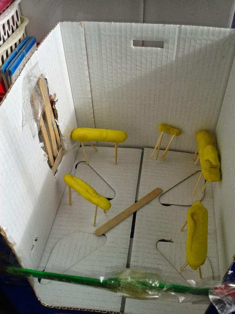 Dioramas in Art Class- 4th, 5th and 6th Class