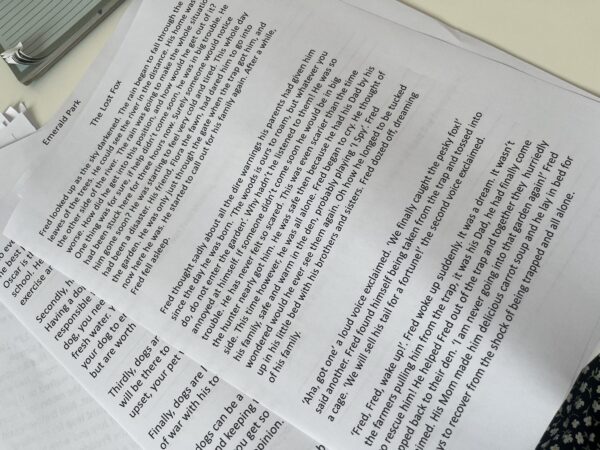 reading comprehension 3rd and 4th class