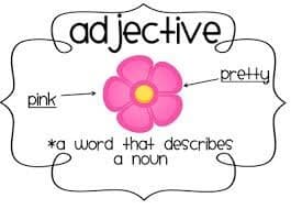 Grammar Pack Week One: Adjectives 1st and 2nd Class