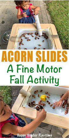 Autumn Acorn Slides