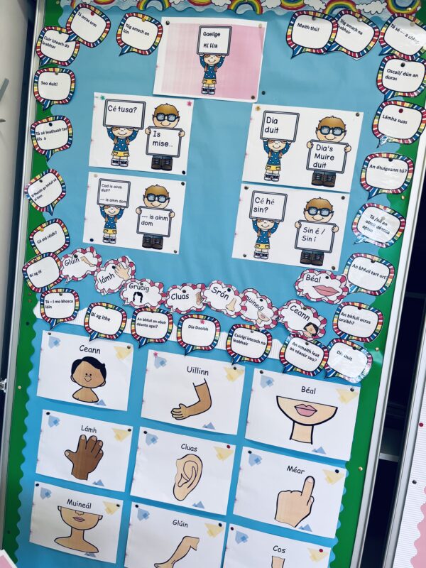 gaeilge display pack