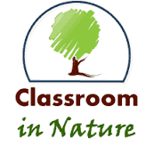 Ways to Teach Outdoors